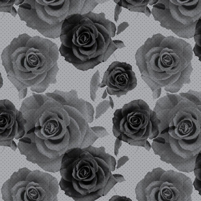 Grey Roses