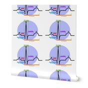 Cardiac Rhythm ST Segment