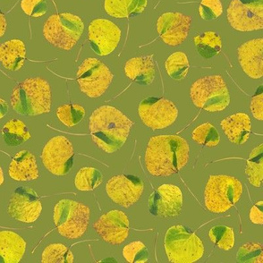 small aspen leaves on yellow-green