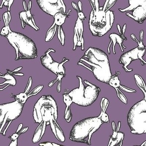 Mr. Jack Rabbit - Small Purple