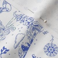 Winter Toile