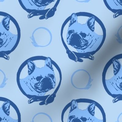 Collared French Bulldog portraits - blue