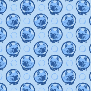 Collared French Bulldog portraits - blue