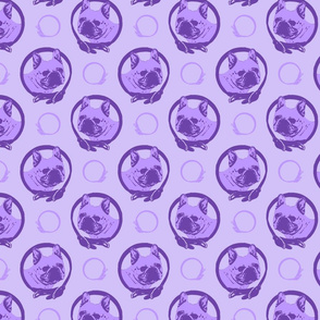 Collared French Bulldog portraits - purple