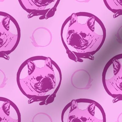 Collared French Bulldog portraits - pink