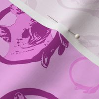 Collared French Bulldog portraits - pink