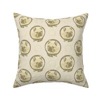 Collared French Bulldog portraits - tan