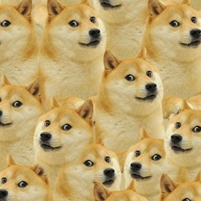 Doge Fabric, Wallpaper and Home Decor | Spoonflower