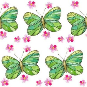 Green Butterflies 