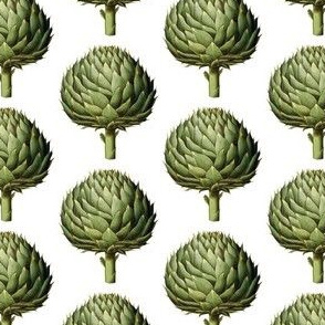 Green Artichoke