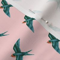 Swift Swallow Retro Pink