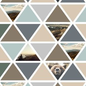 explore // bear triangles