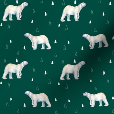 Polar Bear Evergreen