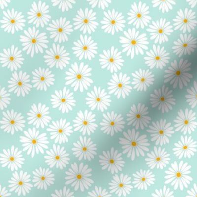 Little Daisy Blue 1 // standard