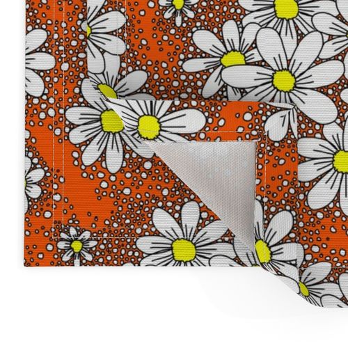 fresh daisies orange and white