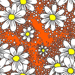 fresh daisies orange and white