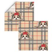 Parti-Biewer-Yorkie Plaid XL