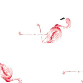 Flamingos_6
