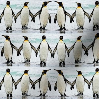 Penguins Toe the Line