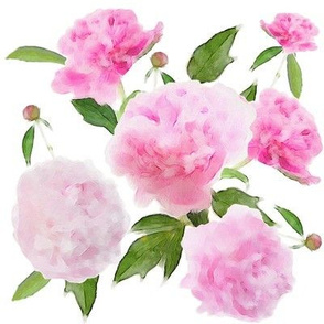 June Peonies