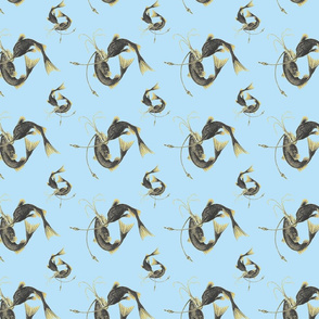 twistedfishtile-blue-ch