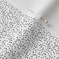 Black White Polka small scale