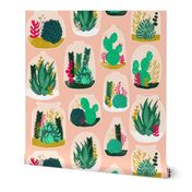 terrarium // sweet little houseplants plants cactus indoor pastel pink succulents 