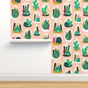 terrarium // sweet little houseplants plants cactus indoor pastel pink succulents 