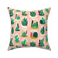 terrarium // sweet little houseplants plants cactus indoor pastel pink succulents 