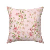 Saint Colette June Roses in peony pink