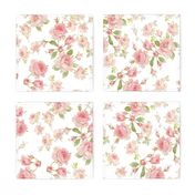 Saint Colette June Roses in peony pink on white