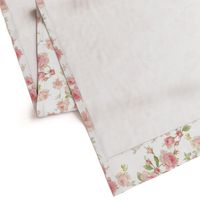 Saint Colette June Roses in peony pink on white