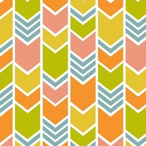 Rainbow Chevron