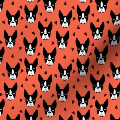 boston terriers // coral dog breed fabric boston terrier cute dog dogs 