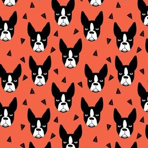 boston terriers // coral dog breed fabric boston terrier cute dog dogs 
