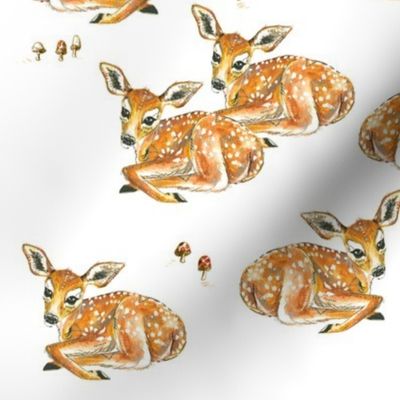 Fawns and Mushrooms