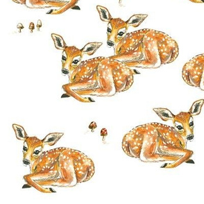 Fawns and Mushrooms