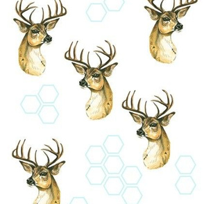 Deer and Hexagons