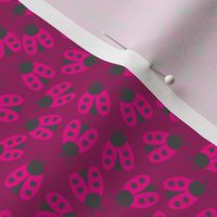 Lucky Ladybugs (Pink)