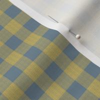 gingham mesh yellow on blue 