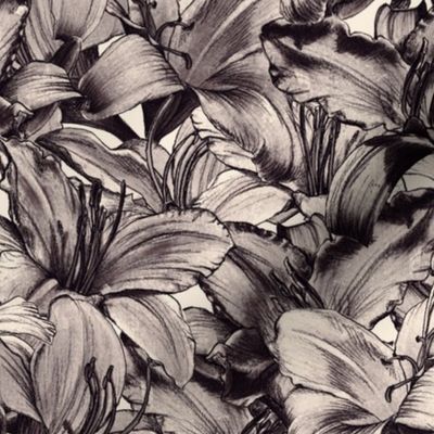 Dazzling Daylilies - monochrome