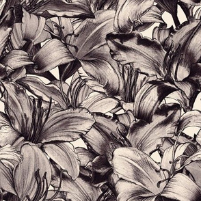 Dazzling Daylilies - monochrome
