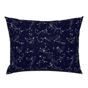 Zodiac Constellations in Night Navy