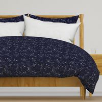 Zodiac Constellations in Night Navy