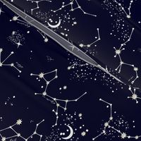 Zodiac Constellations in Night Navy