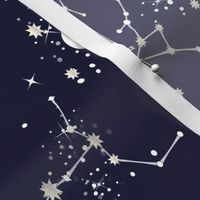 Zodiac Constellations in Night Navy