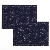 Zodiac Constellations in Night Navy