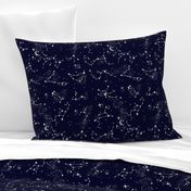 Zodiac Constellations in Night Navy