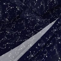 Zodiac Constellations in Night Navy