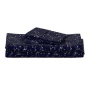 Zodiac Constellations in Night Navy